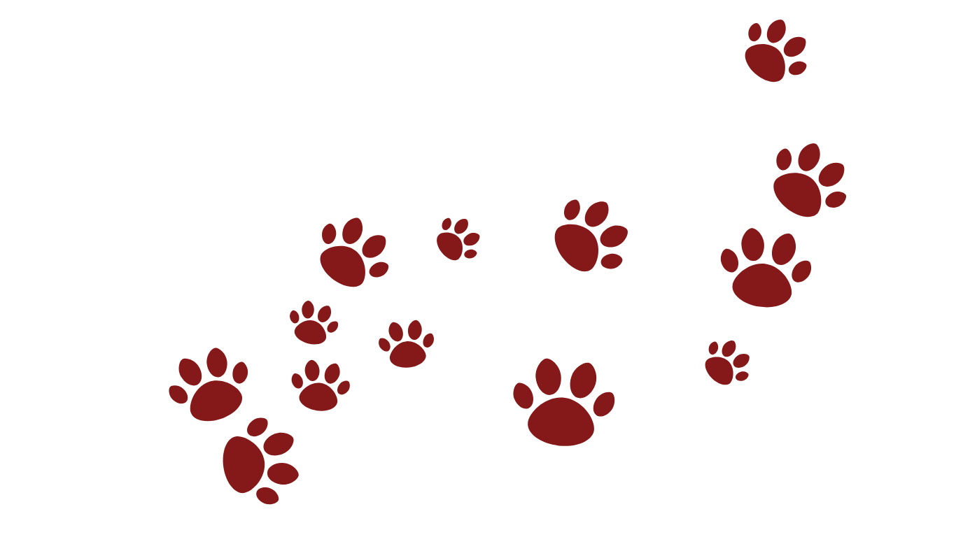 background shape
