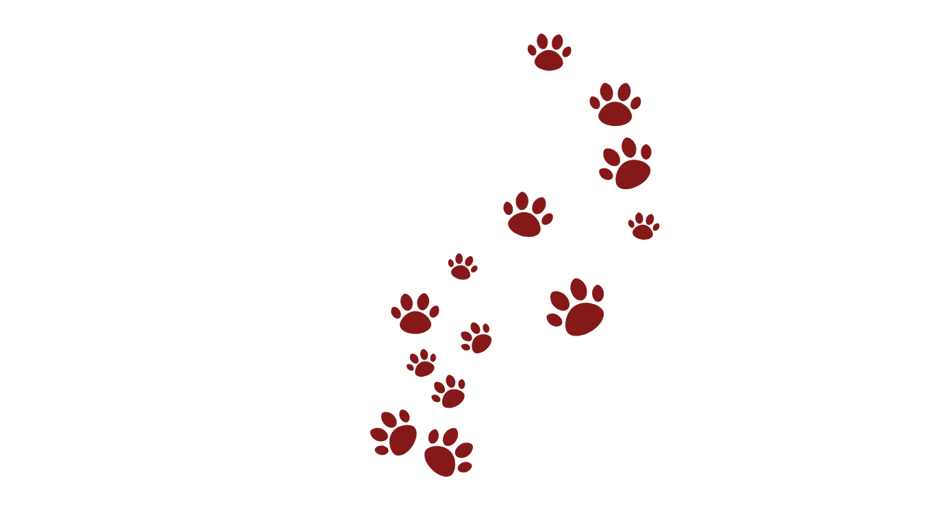 background shape
