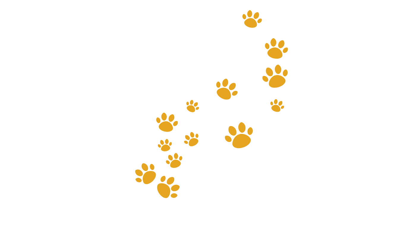 background shape